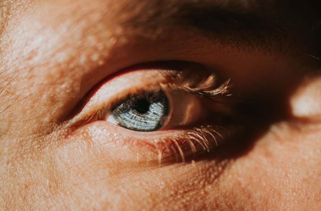 An extreme close-up of a blue eye in a beam of sunlight.