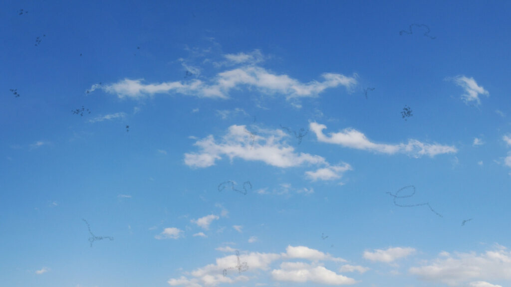 A simulation of eye floaters appearing as small, dark, squiggly lines and spots against a clear blue sky with white clouds.